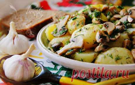 Молодой картофель с грибами, укропом и чесноком