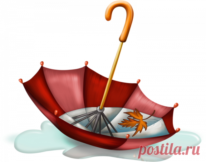 Осенние кластеры