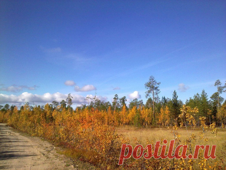 ФОТОМАСТЕРСКАЯ ПРИРОДЫ
Тамара Бабаева (Ишкова)