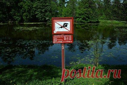 В российском регионе заснувшего в бурной реке мужчину приняли за труп. В городе Белая Калитва Ростовской области пьяный мужчина заснул на камнях в бурной реке. Прохожие приняли его за труп, пишет «360». Очевидцы сообщили спасателям о мертвом мужчине, находящемся около берега. Прибывшие специалисты обнаружили, что неизвестный просто заснул.