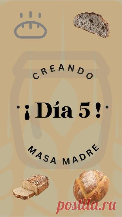 ✨🍞Debes mirar antes estos videos🍞✨:🍞Video día 1 aquí: https://youtube.com/shorts/uQsFnclmHyI?feature=share ✨🍞Video día 2 y 3 aquí: https://youtube.com/sh...