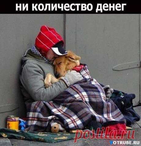 ты не один
