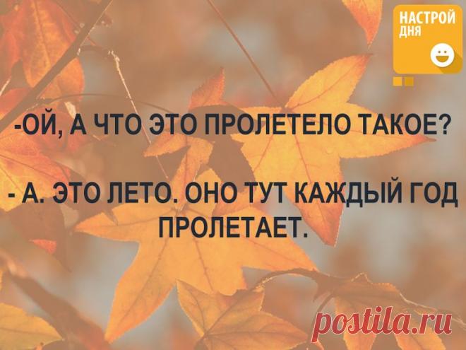 Marina Hristinina – Google+