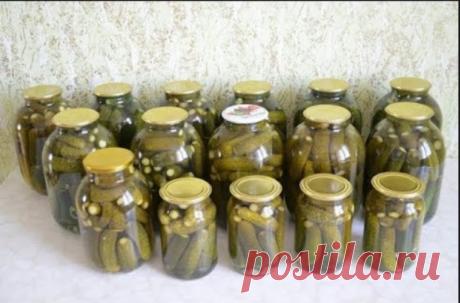Вкуснее огурцов не найти - Этот рецепт самый вкусный! РЕЦЕПТ: на 3 литра воды: 3 столовые ложки не под нож соли, 18 ст.л. сахара не под нож, В каждую литровую баночку-1 ч.л. эссенции 70%. Травы могут быть...