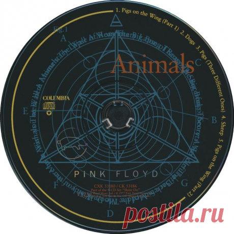 Animals : Pink Floyd : Free Download, Borrow, and Streaming : Internet Archive