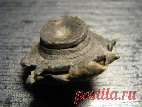 Встретились две дуры(4 фото)