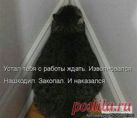 ((((Положительное Настроение))))
Петр Рубашкин