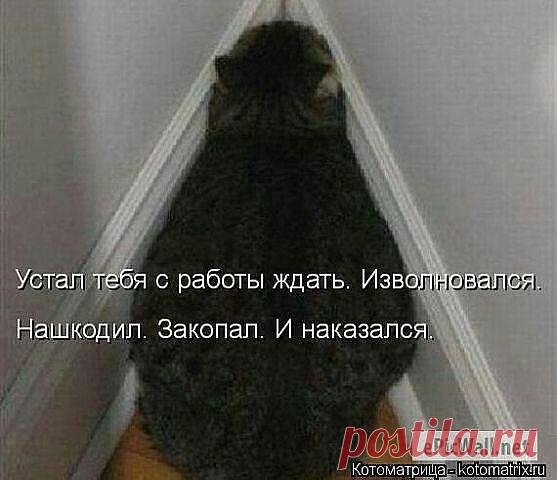 ((((Положительное Настроение))))
Петр Рубашкин