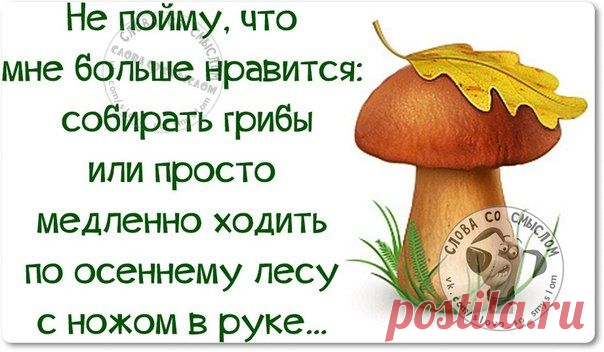 У меня такой недосып, что порой мне кажется, если я подскользнусь и упаду на улице, я не буду плакать или смеяться, я просто засну