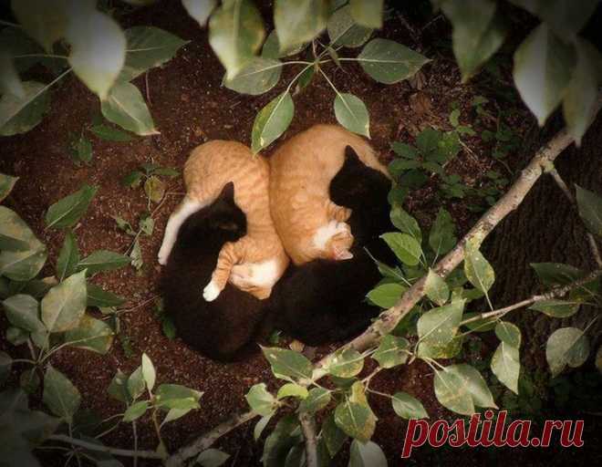 15 фоток с очень неожиданным сюжетом