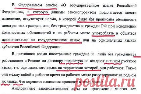 Утренний абзац - Новости - Пензенская неделя