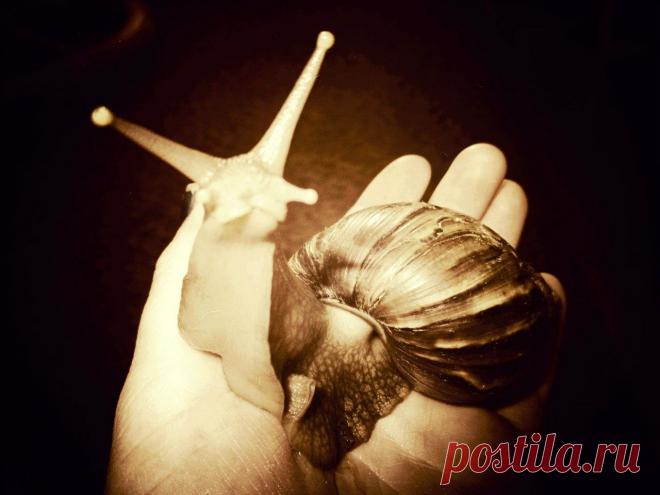 Алина Вахрушева