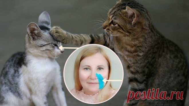 Разгладь носогубки со мной! Тейпирование НОСОГУБНЫХ СКЛАДОК
Сплю и молодею! Хотите узнать как? Сплю и молодею! Хотите узнать как? Носогубные складки — это морщинки, которые выражаются в виде бороздок идущих от крыльев носа к уголкам губ. Особенно они становятся заметны во время улыбки и с возрастом. Для того чтобы разгладить носогубные складки, нужно определить степень их выраженности, факторы и причины повлиявшие на […]
Читай пост далее на сайте. Жми ⏫ссылку выше
