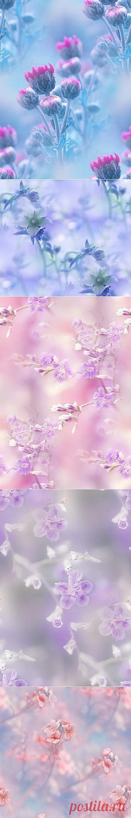 фоны из фотографий by =lpdragonfly — Прекрасные фоны для дневников