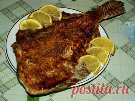 Камбала на фольге 
Очень вкусно и просто! Да и к тому же, не надо мыть противень.

Ингредиенты:
1 кабала,
1 небольшой лимон,
растительное масло,
соль и молотый черный перец по вкусу. 

Приготовление: 
1. Рыбу почистить, сбрызнуть лимонным соком, поперчить и посолить. Положить в емкость для маринования и слегка смазать растительным маслом. Оставить мариноваться на 1 час в прохладном месте.
2. Противень выстелить фольгой, положить камбалу и запечь при температуре 180 градусо...