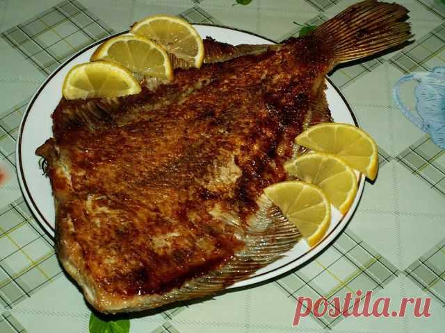 Камбала на фольге 
Очень вкусно и просто! Да и к тому же, не надо мыть противень.

Ингредиенты:
1 кабала,
1 небольшой лимон,
растительное масло,
соль и молотый черный перец по вкусу. 

Приготовление: 
1. Рыбу почистить, сбрызнуть лимонным соком, поперчить и посолить. Положить в емкость для маринования и слегка смазать растительным маслом. Оставить мариноваться на 1 час в прохладном месте.
2. Противень выстелить фольгой, положить камбалу и запечь при температуре 180 градусо...