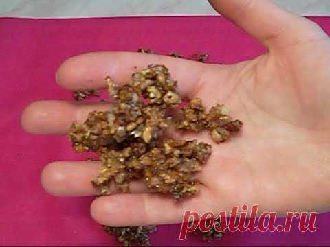 Пралине из грецких орехов