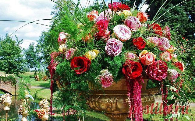 КрАсИвЫе АлЬбОмЫ-!!!