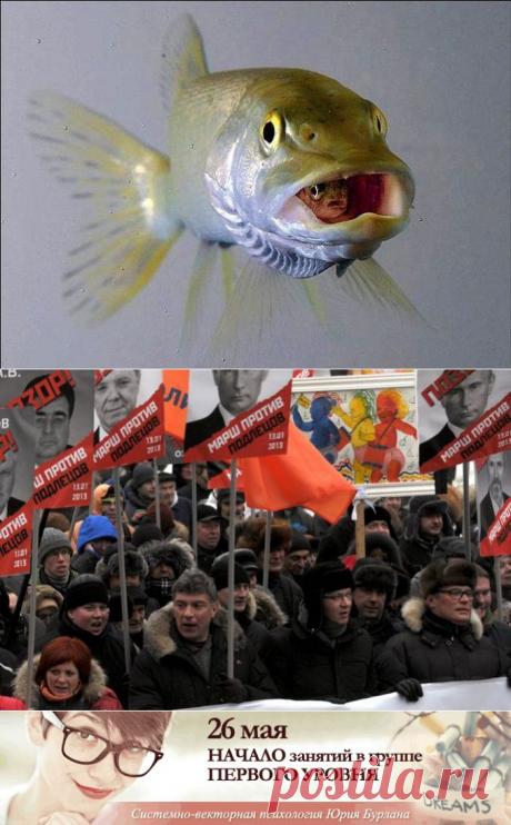 jamallutdin: О подлецах