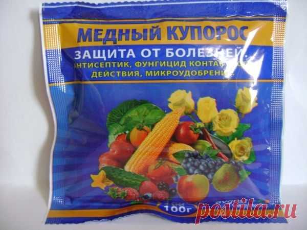 Профилактика фитофторы на помидорах народными средствами