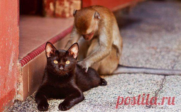 Мой Мир@Mail.Ru