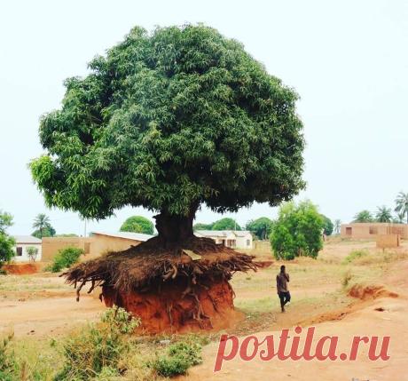 15 занимательных фотографий, для желающих расширить свой кругозор