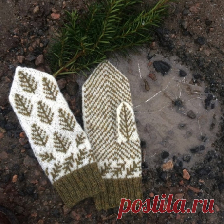 Жаккардовые варежки с елочками, вяжем спицами