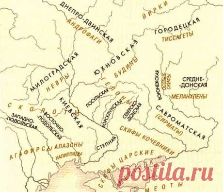 Re Graf Info » » Заметка о северянах, суварах, савирах, севрюках
