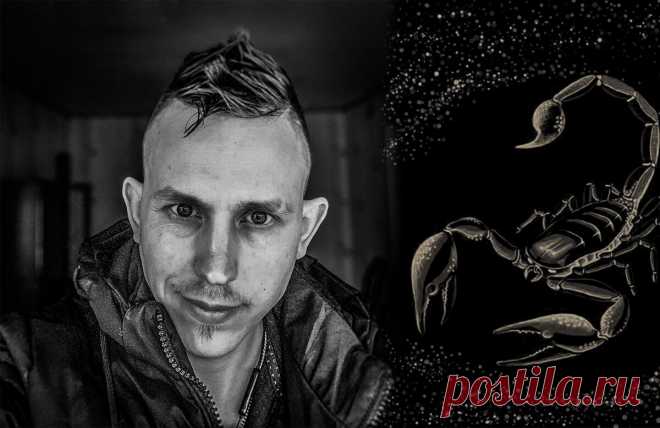 Исповедь скорпиона. Мы не злые, мы принципиальные. Развенчиваю мифы про скорпионов | Степан Корольков~Хранитель маяка | Дзен
