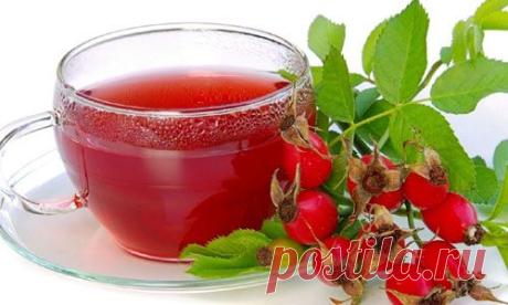 5 рецептов для здоровья из плодов шиповника | Домашняя аптечка