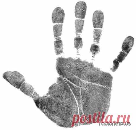 Хиромантия: типы рук