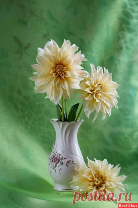 ✿ღ✿Осенние цветы✿ღ✿