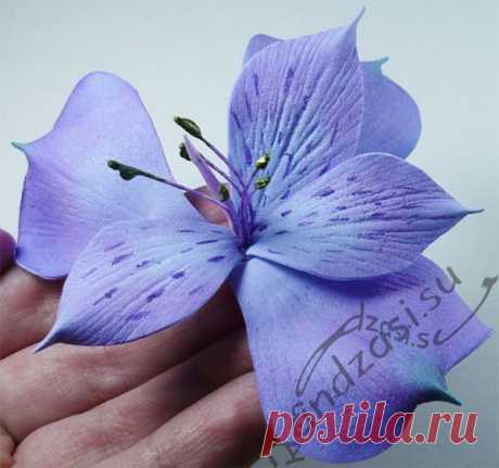 Мастер классы.Топиарии. Ростовые цветы.Фоамиран.