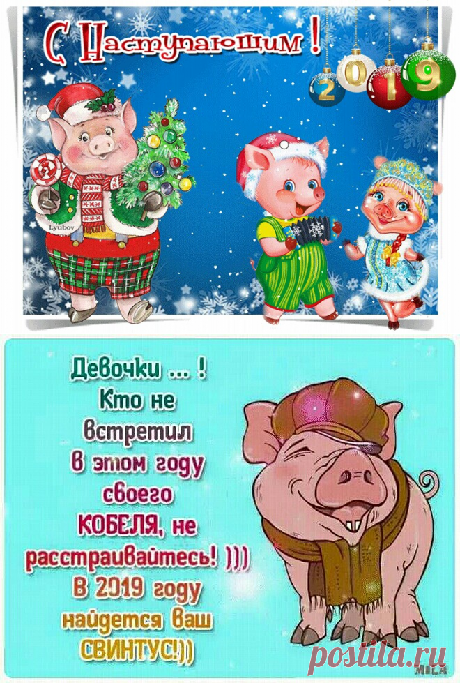 2019 год Свиньи - Прикольные статусы с наступающим новым годом Свиньи 2019 - С наступающим Новым годом Свиньи: картинки, открытки, статусы в картинках, поздравления, пожелания, стихи, проза