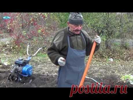 Осенняя посадка малины-полностью ВЕСЬ процесс!!!