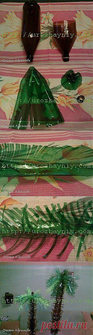 Пальма из пластиковых бутылок | Урожайная дача
