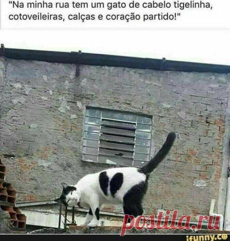 (