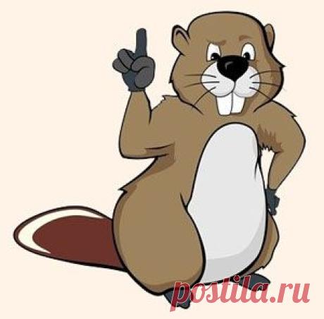 Эта короткая смешная сценка про бобра и кенгуру высмеивает некомпетентных людей, которые не стесняются высказывать свое мнение профессионалам своего дела.