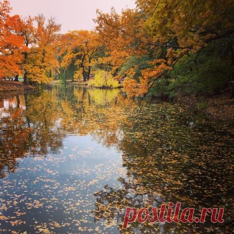 КАКОЙ СЕГОДНЯ ПРАЗДНИК? 10 Сентября 2018 г. – Понедельник • День занюхивателя • День разноцветных букетов • Всемирный день предотвращения самоубийств (World Suicide Prevention Day) • День наследия американских индейцев - Гайана • День детей - Гондурас • День учителя - Китай • Национальный день - Белиз • Национальный день - Гибралтар • Именины у Анны, Моисея, Афанасия, Дениса, Григория, Ивана, Павла, Анатолия, Вениамина, Кассиана, Арсения, Игнатия, Сергея, Николая • Анна-скирдница Автор фото…