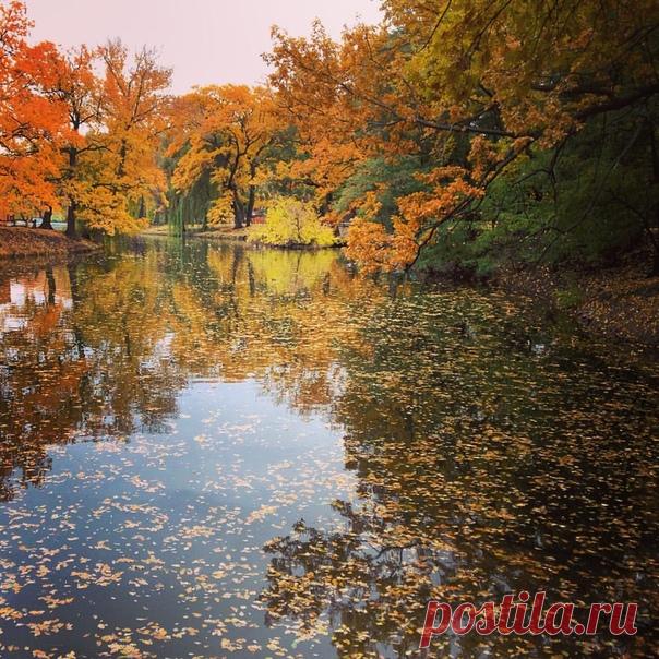 КАКОЙ СЕГОДНЯ ПРАЗДНИК? 10 Сентября 2018 г. – Понедельник • День занюхивателя • День разноцветных букетов • Всемирный день предотвращения самоубийств (World Suicide Prevention Day) • День наследия американских индейцев - Гайана • День детей - Гондурас • День учителя - Китай • Национальный день - Белиз • Национальный день - Гибралтар • Именины у Анны, Моисея, Афанасия, Дениса, Григория, Ивана, Павла, Анатолия, Вениамина, Кассиана, Арсения, Игнатия, Сергея, Николая • Анна-скирдница Автор фото…