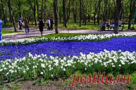 Google+