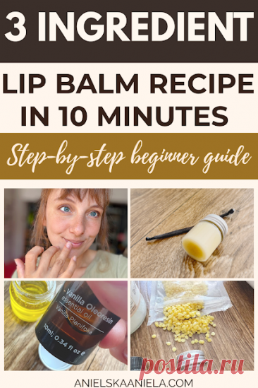 3 Ingredient Lip Balm Recipe in 10 Minutes Easy DIY