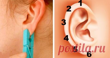 Зажмите ухо прищепкой на 5 секунд. Эффект будет неожиданным, обещаю! 

Китайская традиция в действии.

В жизни никуда не деться от боли и усталости. Это нормально: все мы люди и не можем постоянно чувствовать себя идеально. 

Но вы удивитесь, какой запас здоровья хранят в себе внешние и внутренние органы вашего тела! И этот запас можно высвободить. 

Существует интересный и необычный способ управления энергией в теле — рефлексология. Придумали его китайцы, много тысяч лет ...