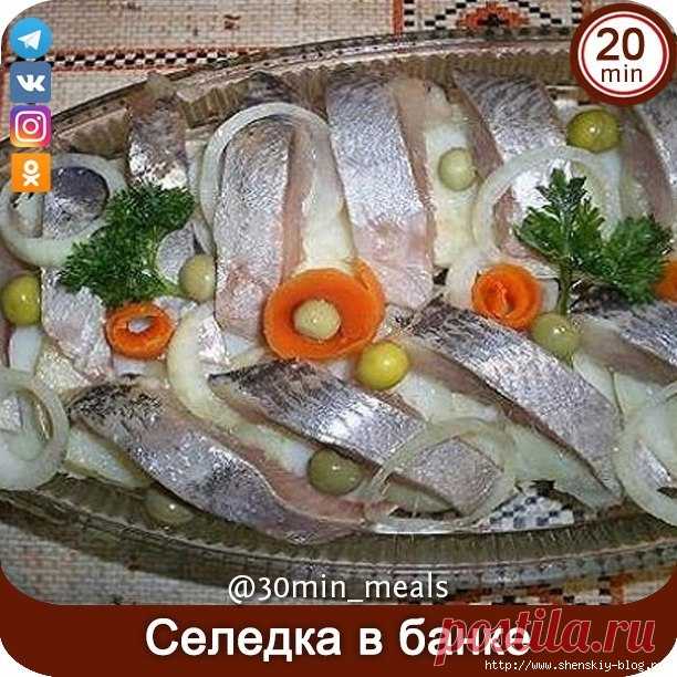 Селедочка 