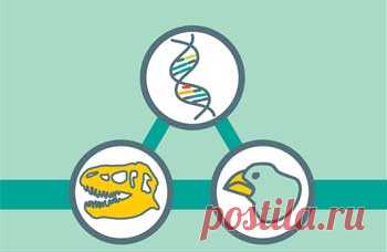 Understanding Evolution – Your one-stop source for information on evolution