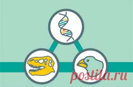 Understanding Evolution – Your one-stop source for information on evolution