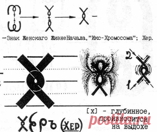 Откуда взялось слово «Похерить» ?