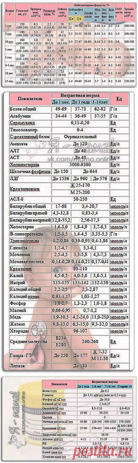 У вашего ребенка брали анализы? Вы можете сами определить в норме ли показатели! | Хитрости Жизни