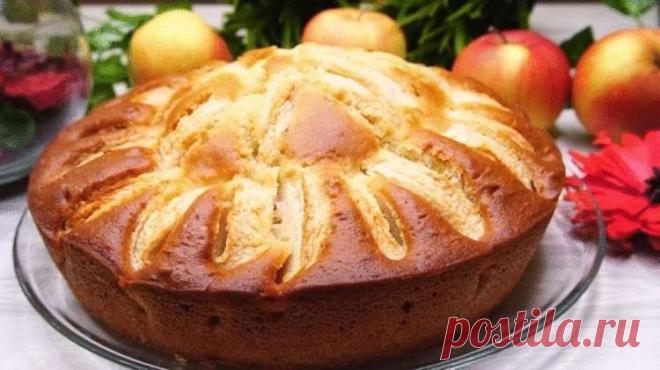 Сочный Пирог на кефире за 10 минут + время на выпечку — Жизнь под Лампой!