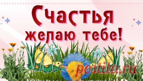 Пожелание счастья. Желаю тебе счастья! Говори себе с утра: счастье нам вставать пора. Так со счастьем и вставай, никуда не отпускай!